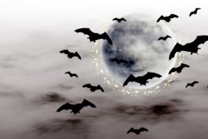 Halloween bats