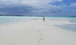 Exuma Sand Bar