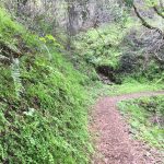 Sweet Spring Trail