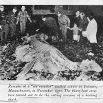 Scituate sea monster news report