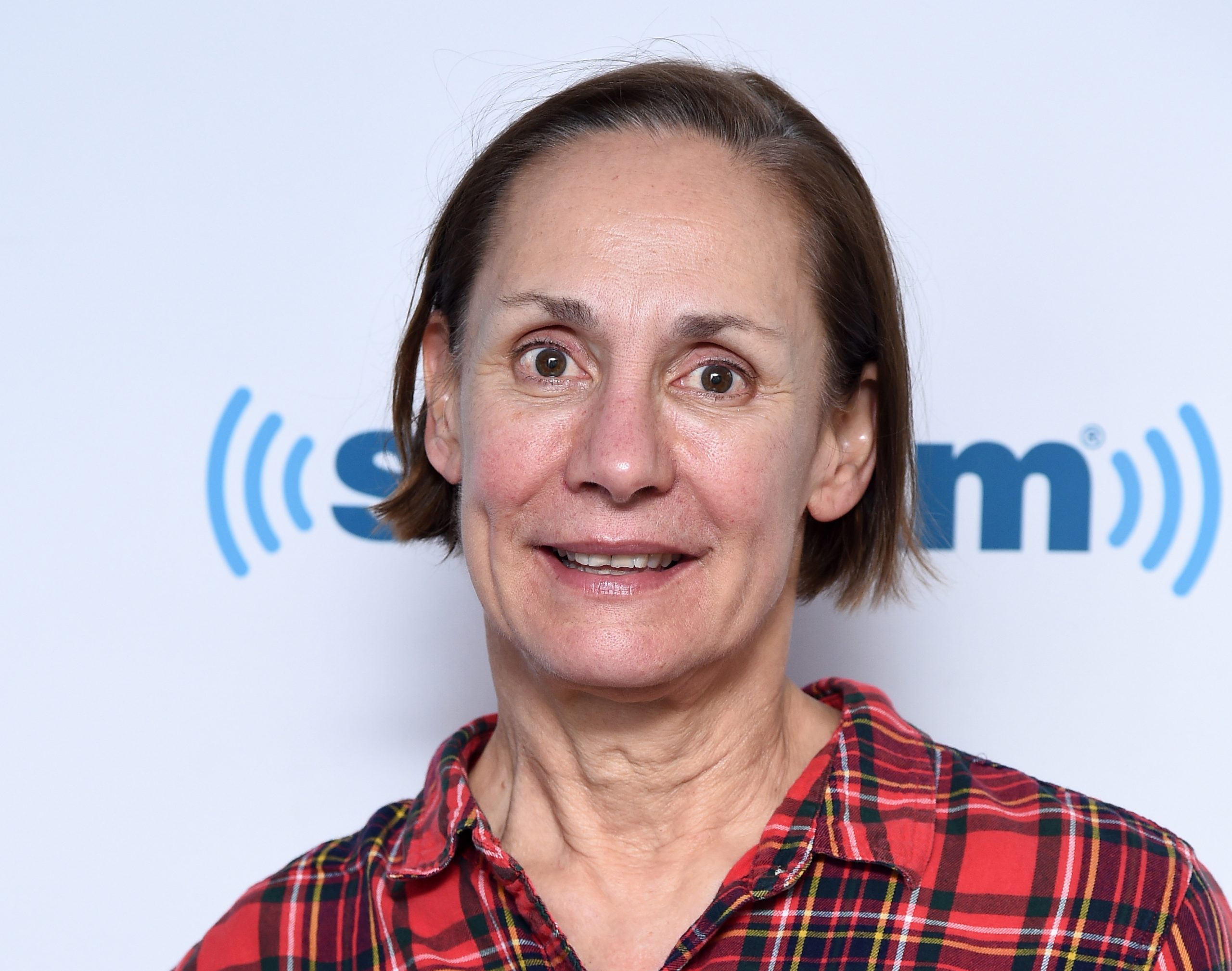 1. Laurie Metcalf's Blonde Hair Transformation - wide 5