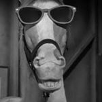 Profile photo of Mister Ed